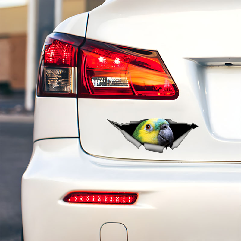 DK582 #   Niebieskie naklejki  – Car Accessories Amazon recenzja i cena