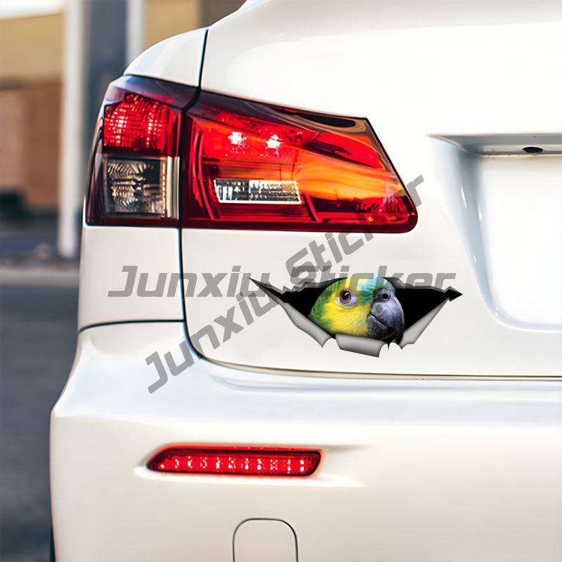 Naklejki samochodowe z papugą  – Car Accessories Amazon recenzja i cena